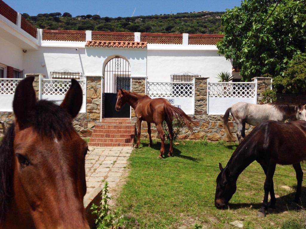 Ferienwohnung El Estrecho Tarifa Exterior foto